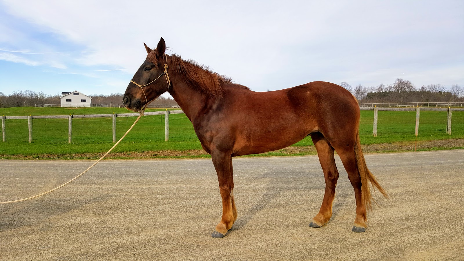 Husdon Equestrian Center