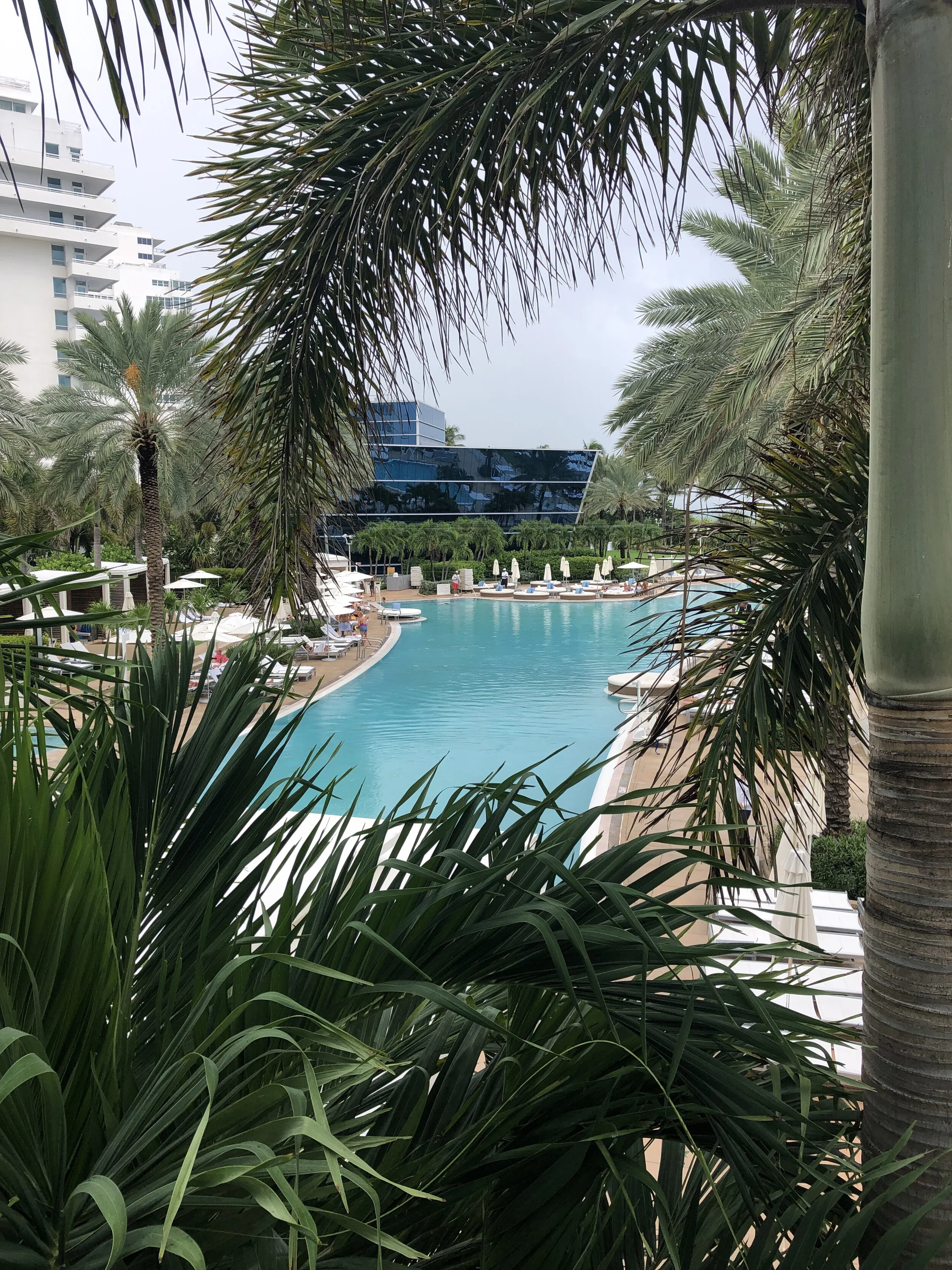 Miami Pool.jpg