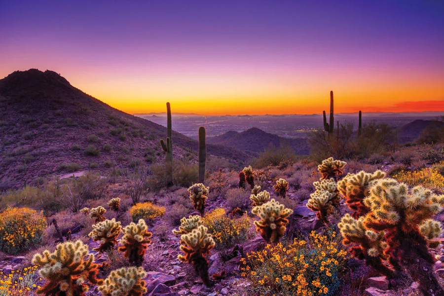Arizona-Sunset-Scottsdale.jpg
