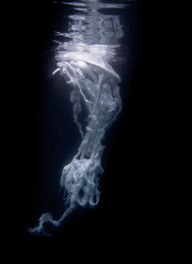 IMG_9758 (1).PNG