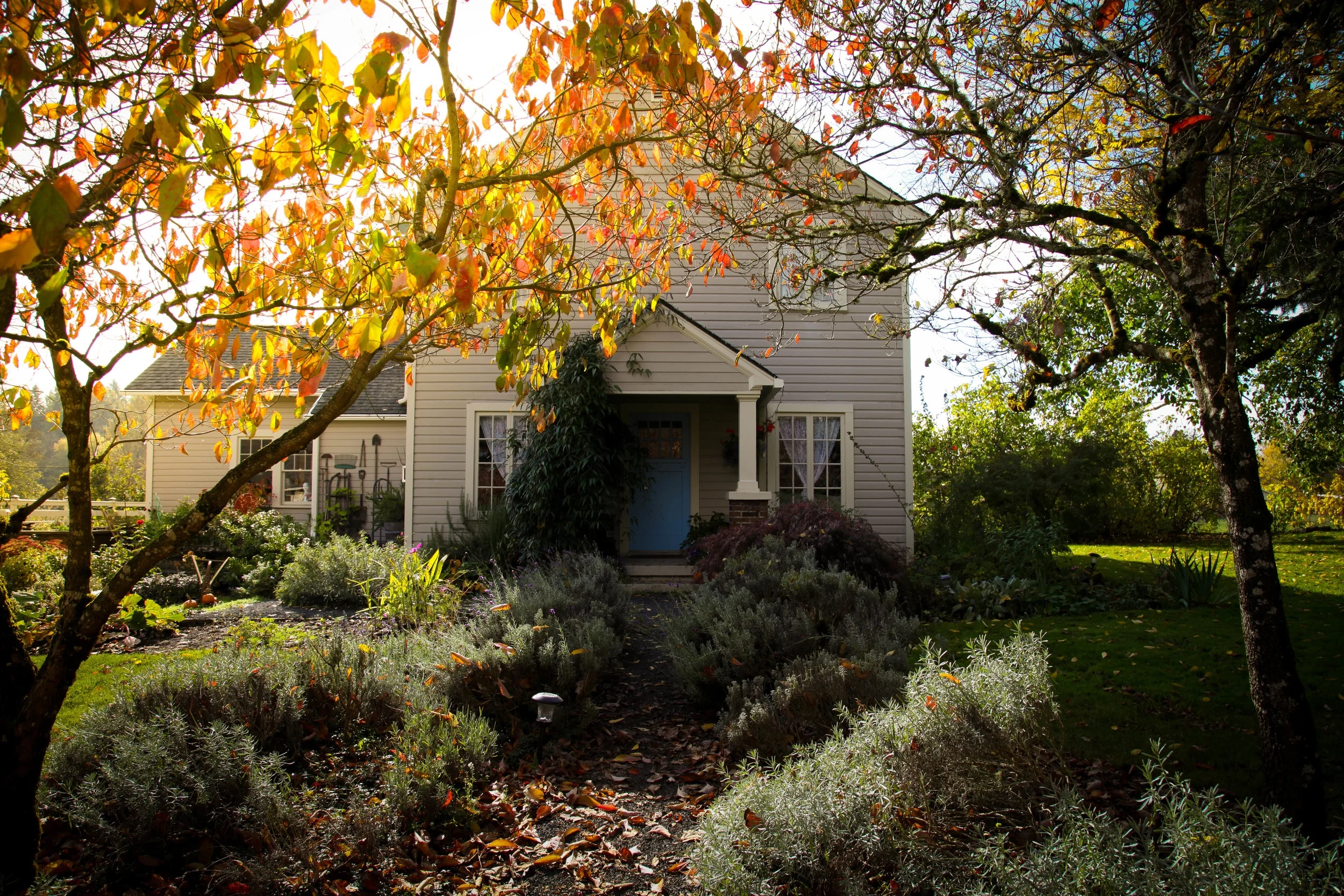 mom and dads house-20.jpg