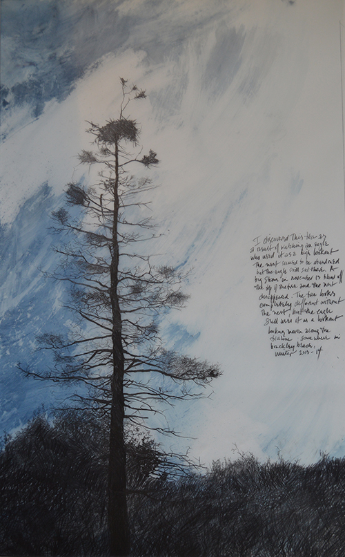 tree.no.5sm.jpg