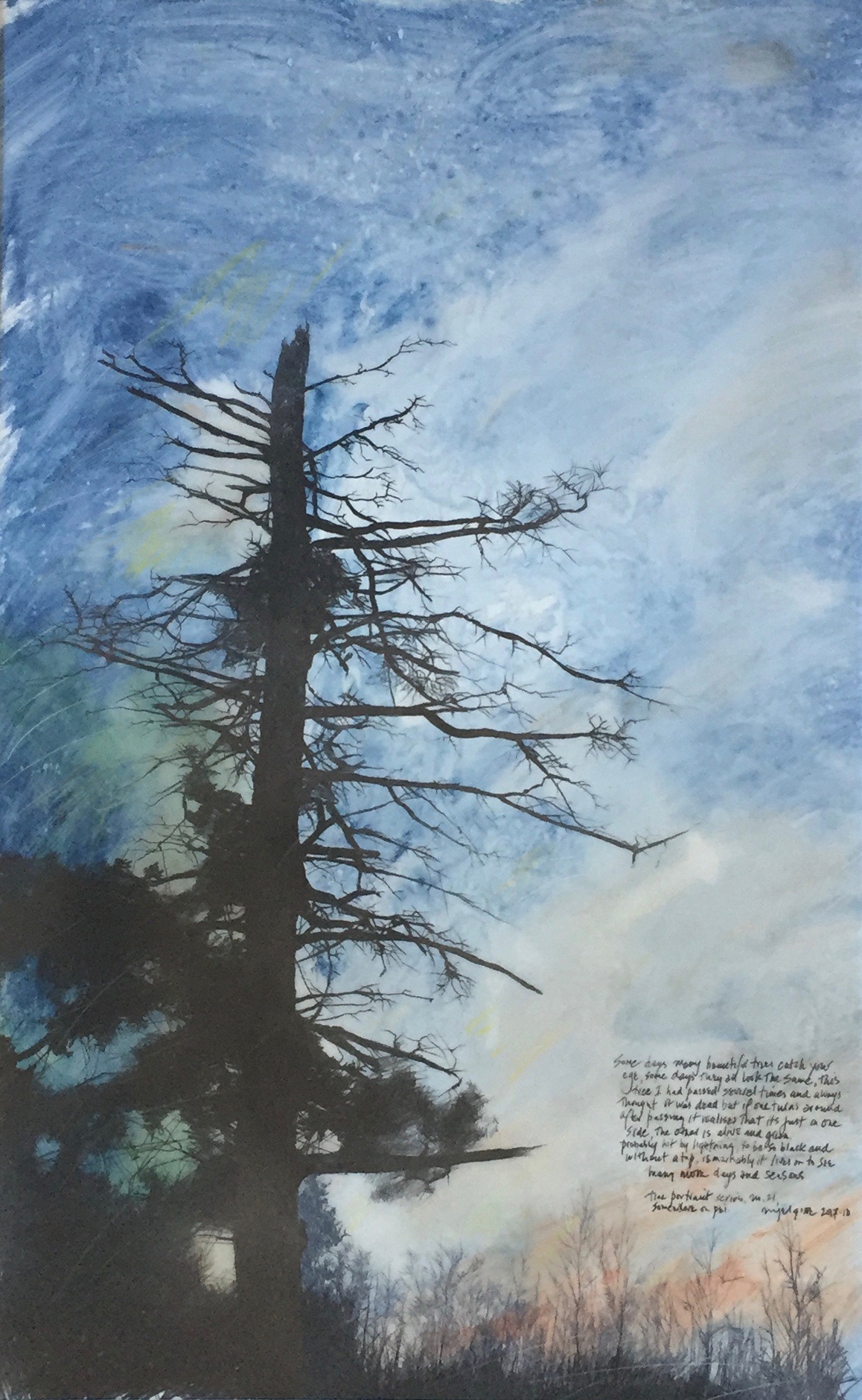 tree.jpg