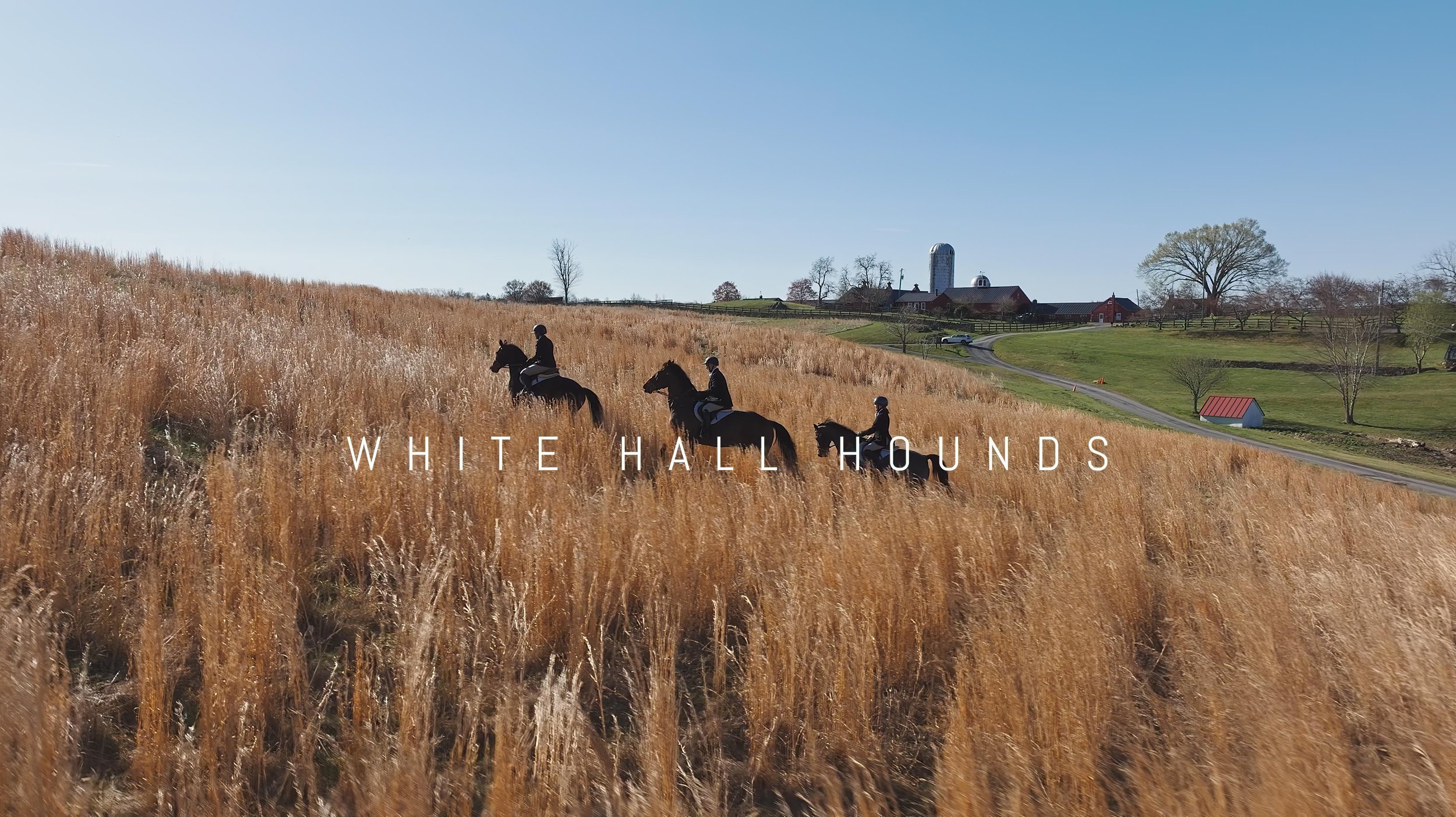 White Hall Hounds Documentary