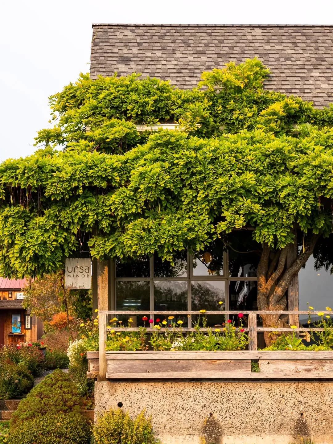 Reservations are available for the month of October! 🍂 Book a table: #linkinbio 

FALL HOURS:
Friday, Saturday, and Sunday 
5pm-8pm 
---
CLOSED 9/29-10/9 for our Fall Break