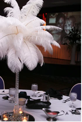 Rental Items The Wedding Designer Susan Foy