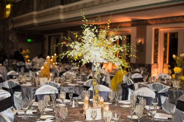 The Netherland Hilton