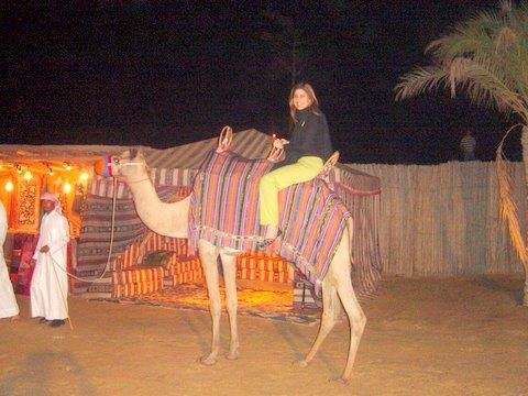 camelo.jpg