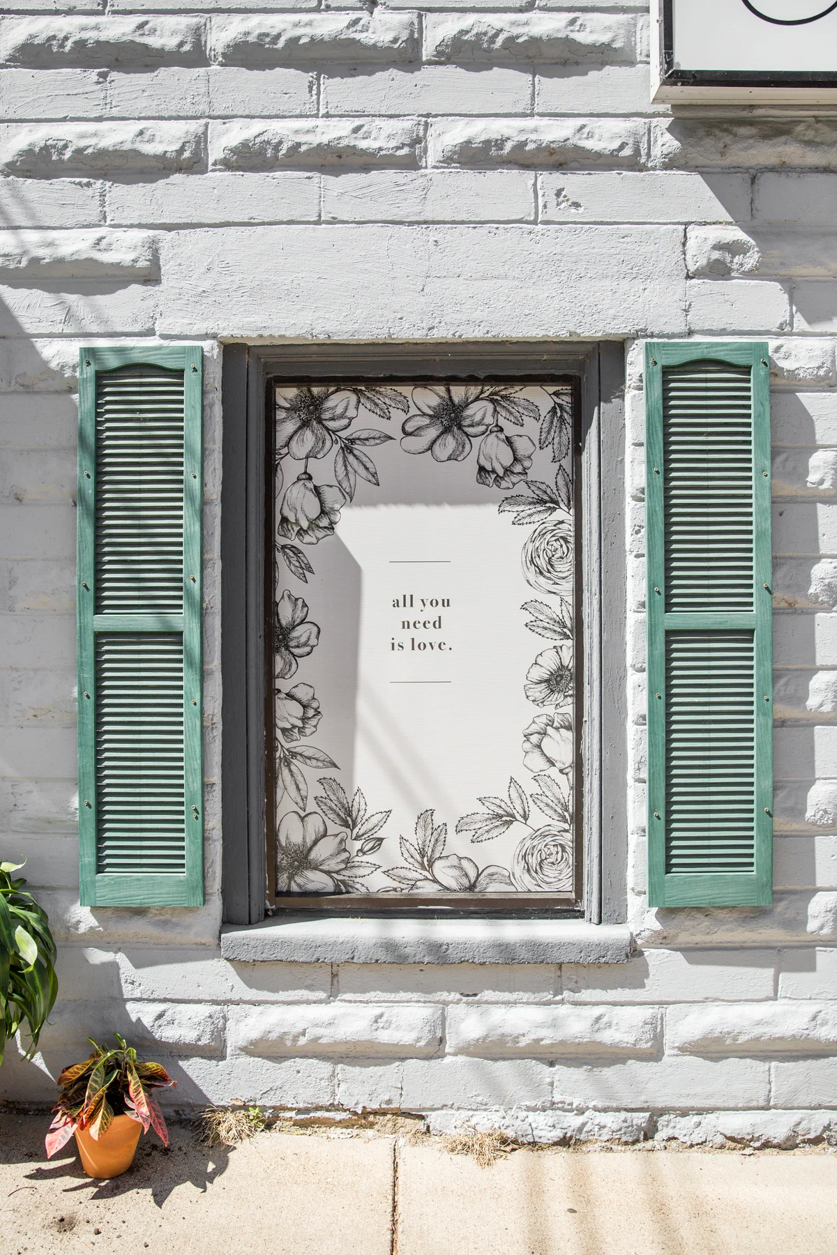 Champagne Press Window Diplay.jpg