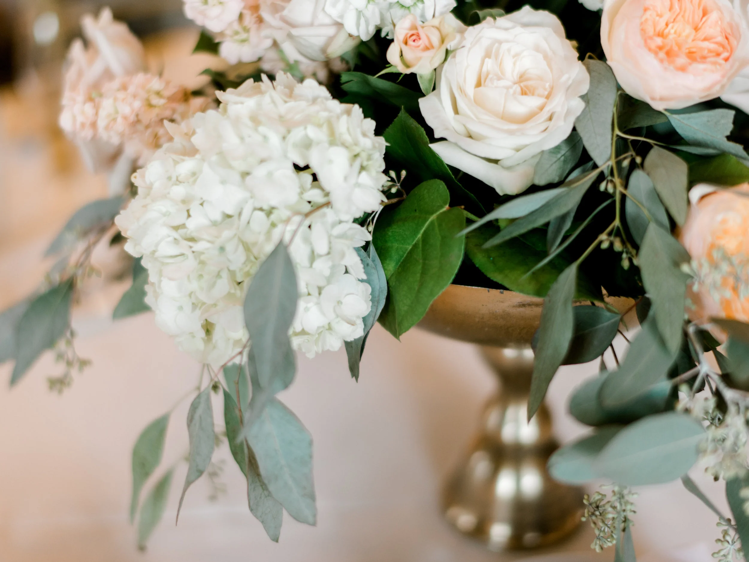 Shelley Sarver Designs.jpg