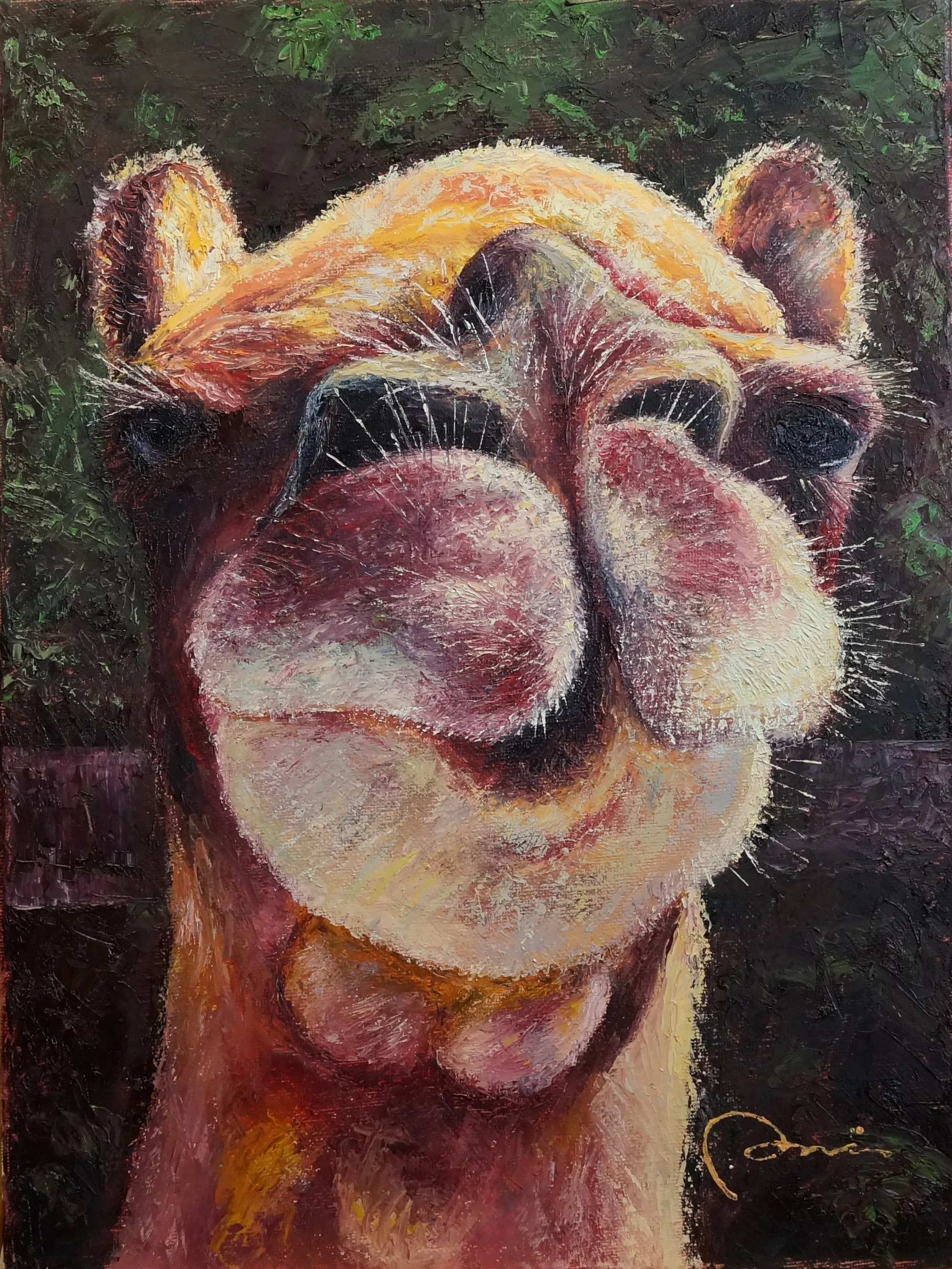 Camel Face (12x16).jpg