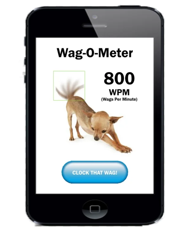 The Wag-O-Meter