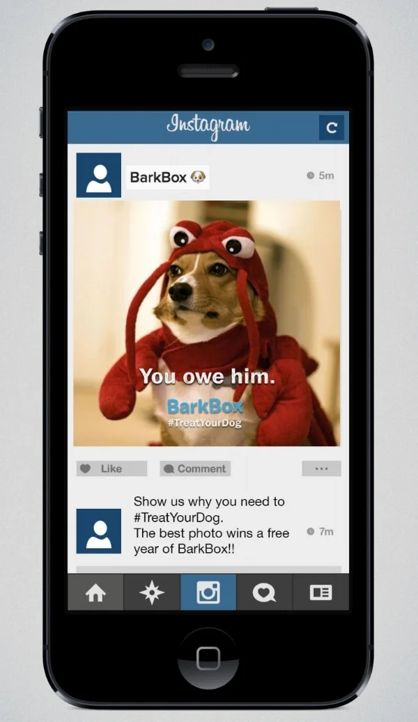 insta mockup.jpg