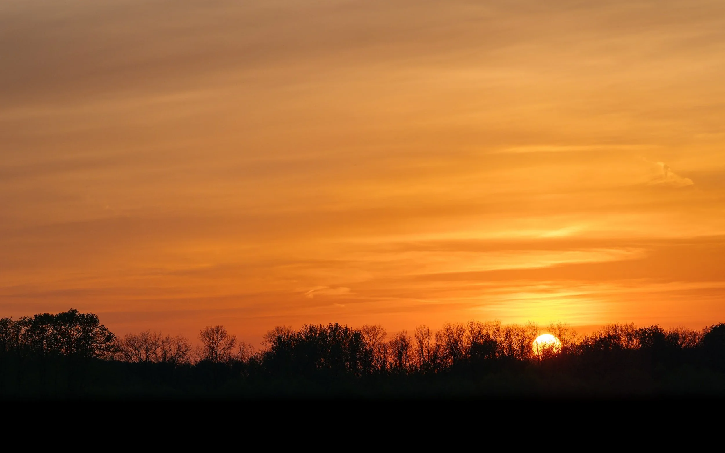 Vitamine D : une hormone clé du métabolisme