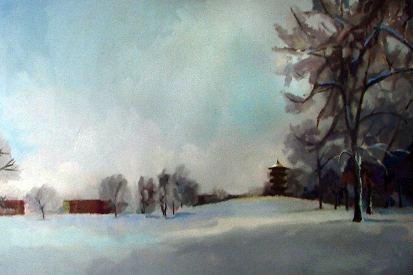 Snow in the Park
