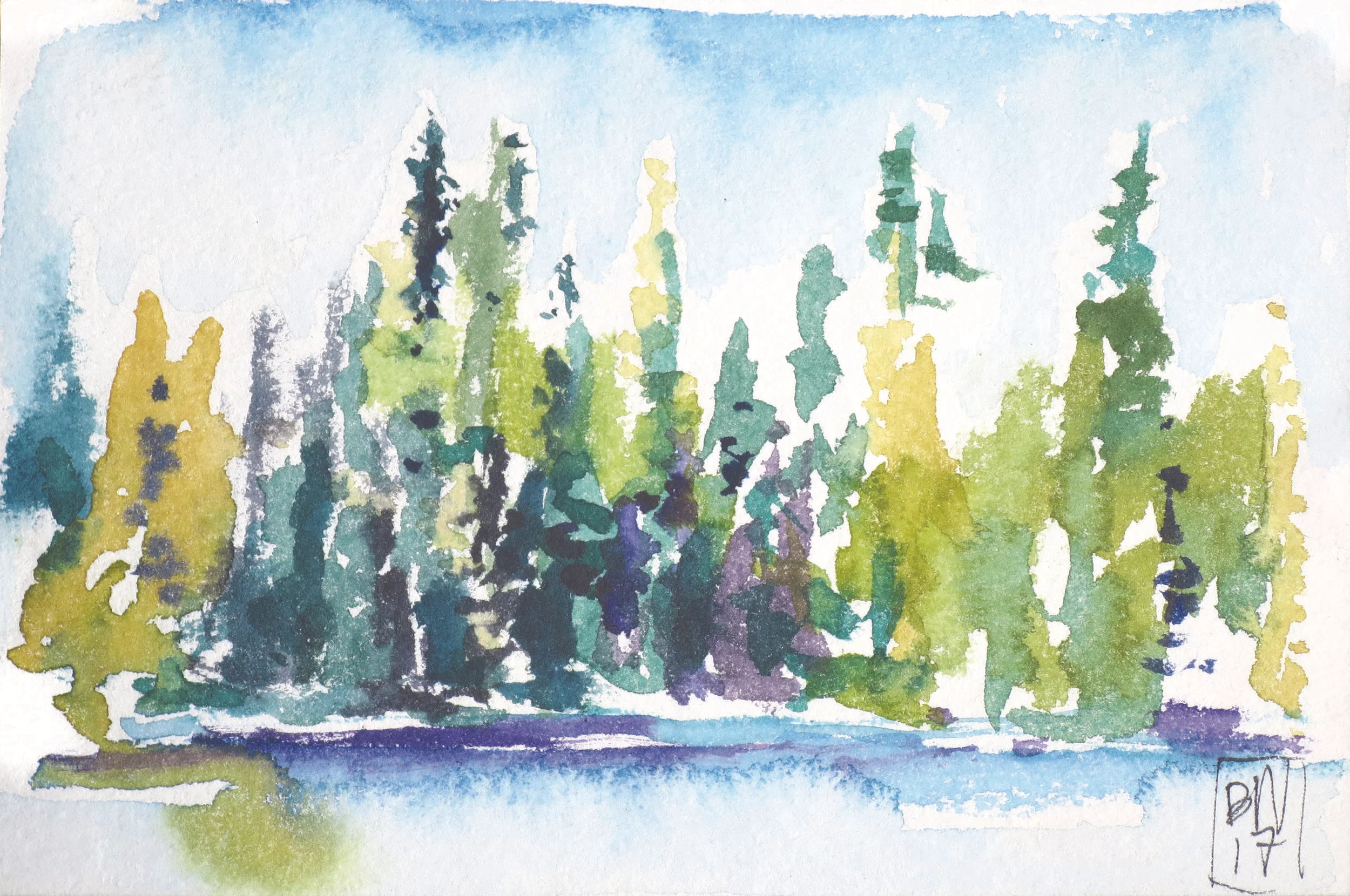 The Pines