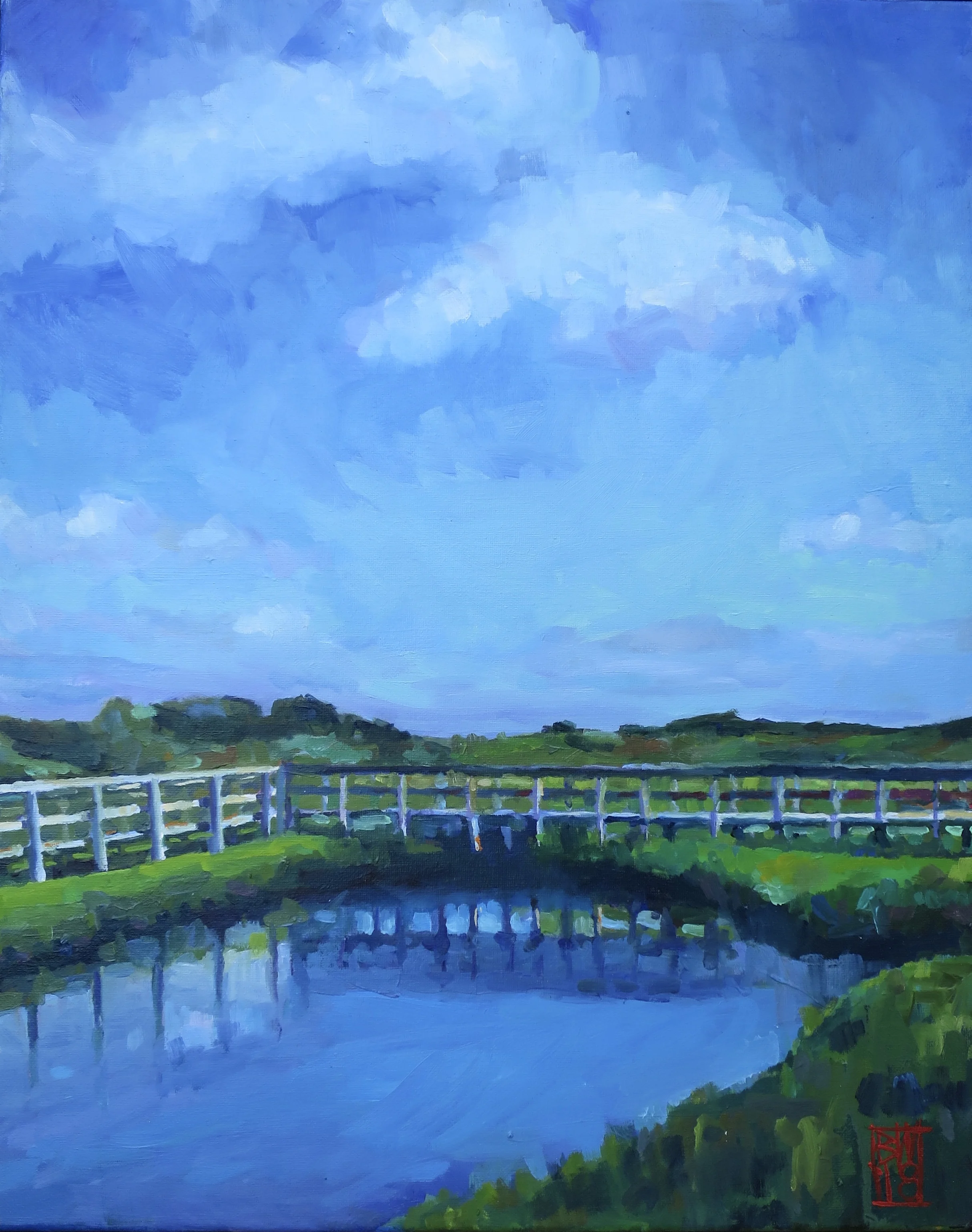Brackish Reflection