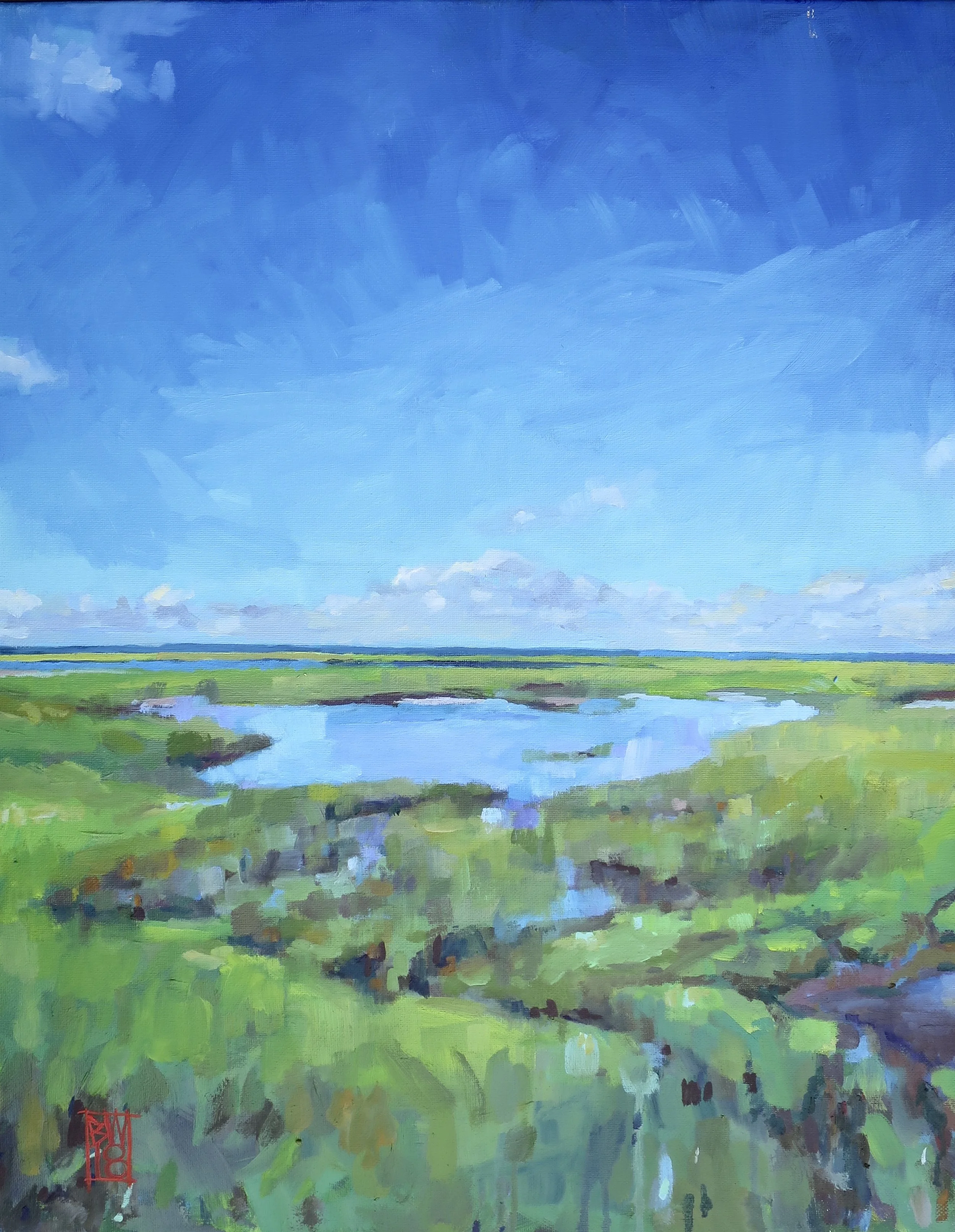 Salt Marsh Pool