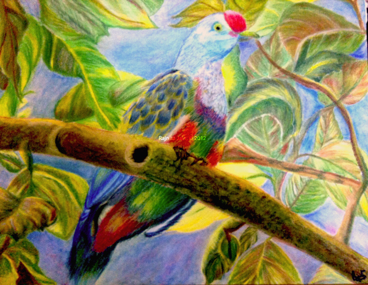 Bird-of-the-Seasons.jpg