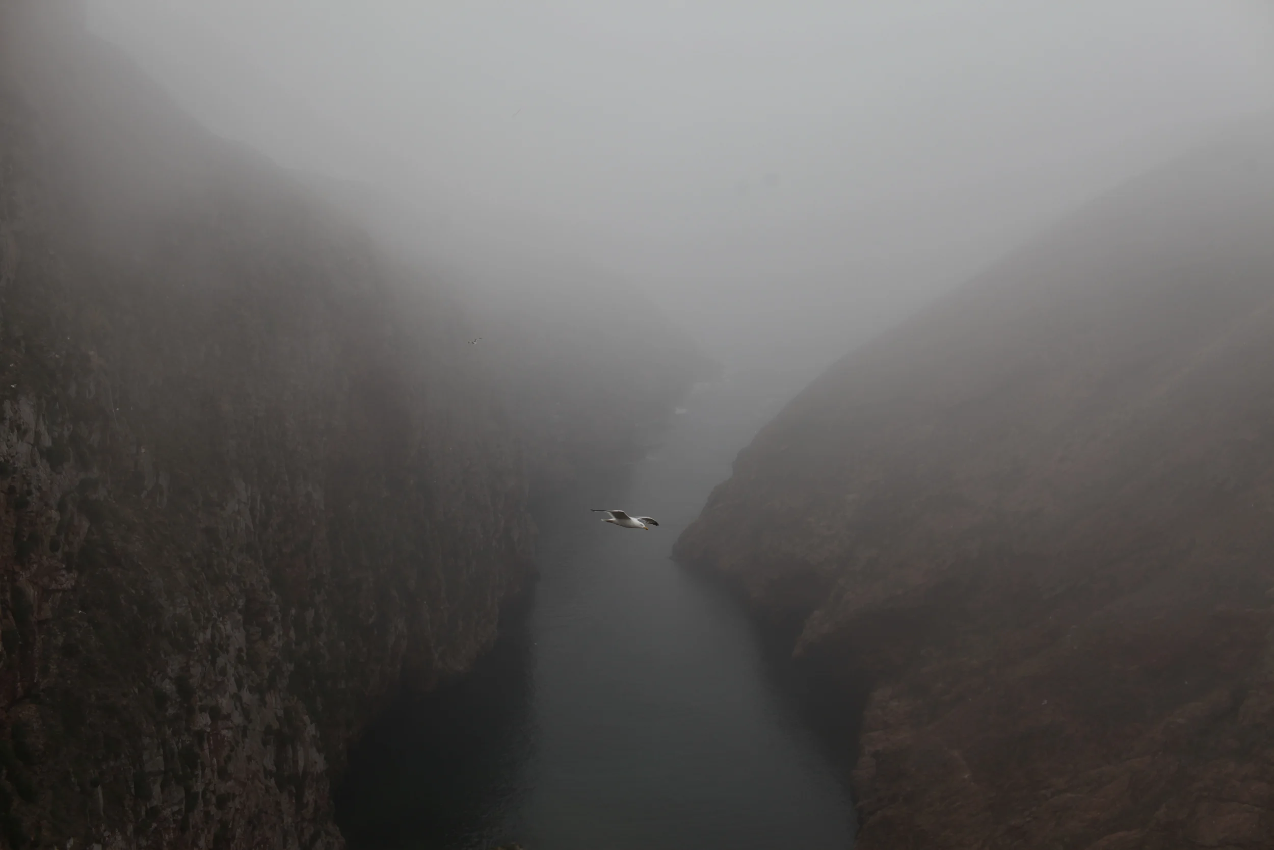 #jh berlenga ed 181.JPG