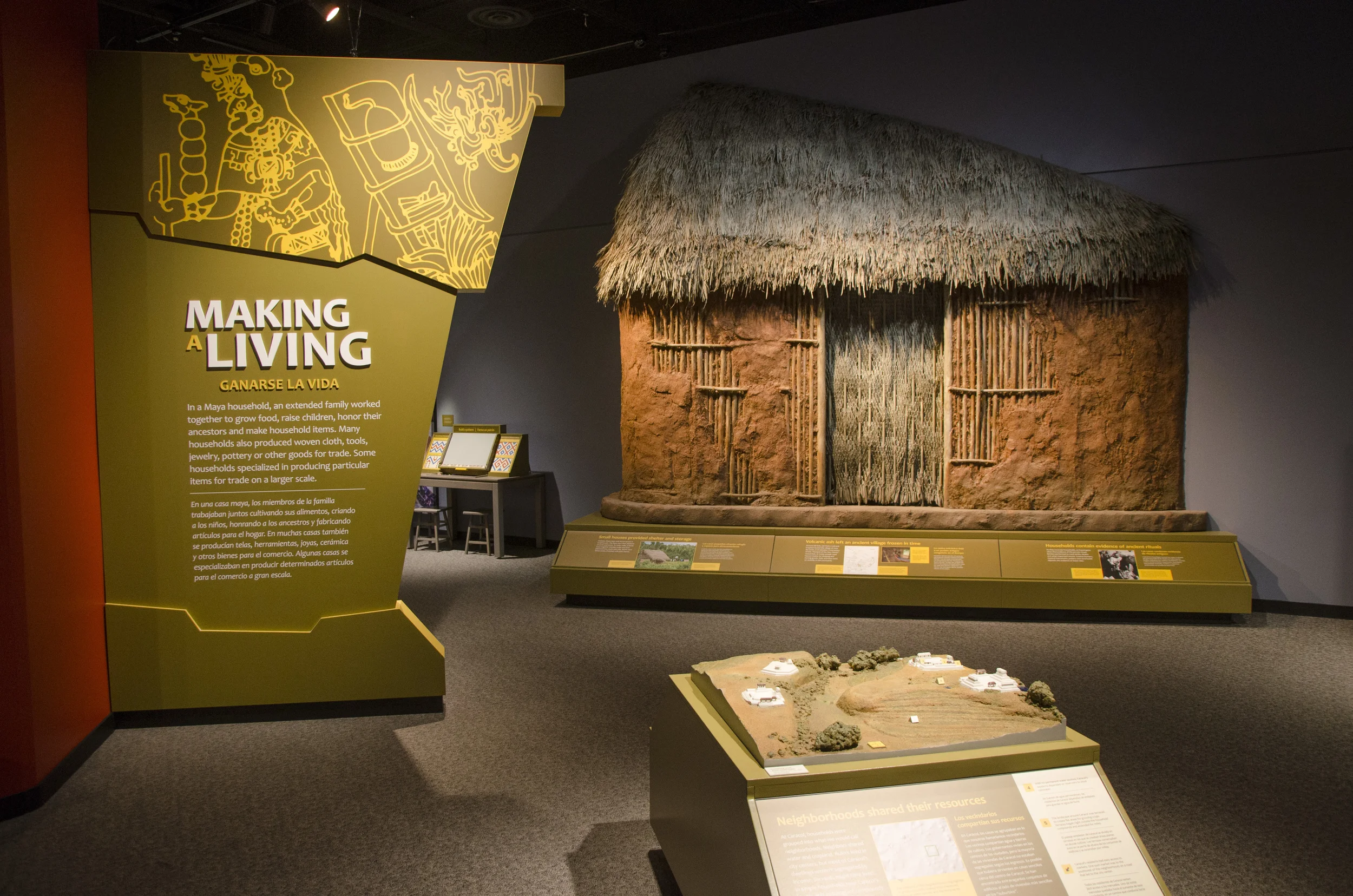 MAYA Hidden Worlds Revealed National Touring Exhibition
