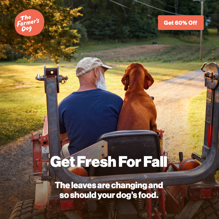 Screenshot 2025-12-19 at 1.03.21 PM.png