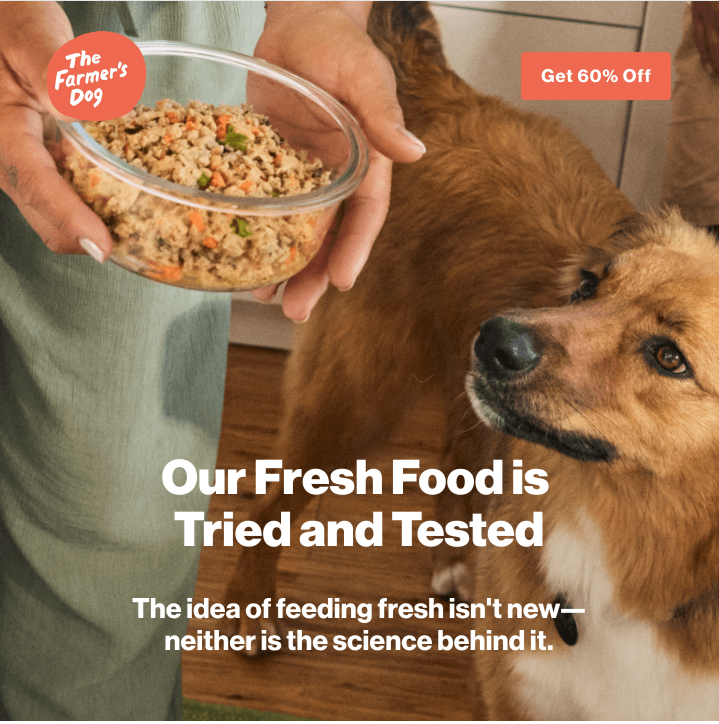 Screenshot 2025-12-19 at 1.02.14 PM.png