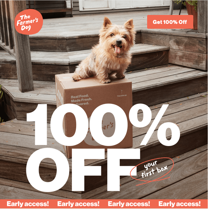 Screenshot 2025-12-19 at 1.01.36 PM.png