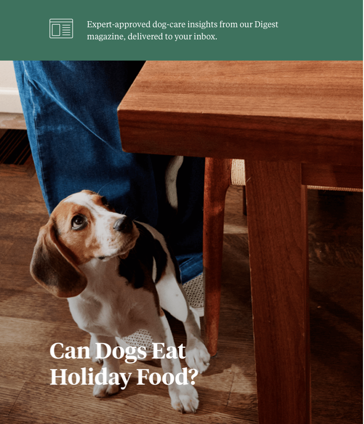 Screenshot 2025-12-19 at 1.00.47 PM.png