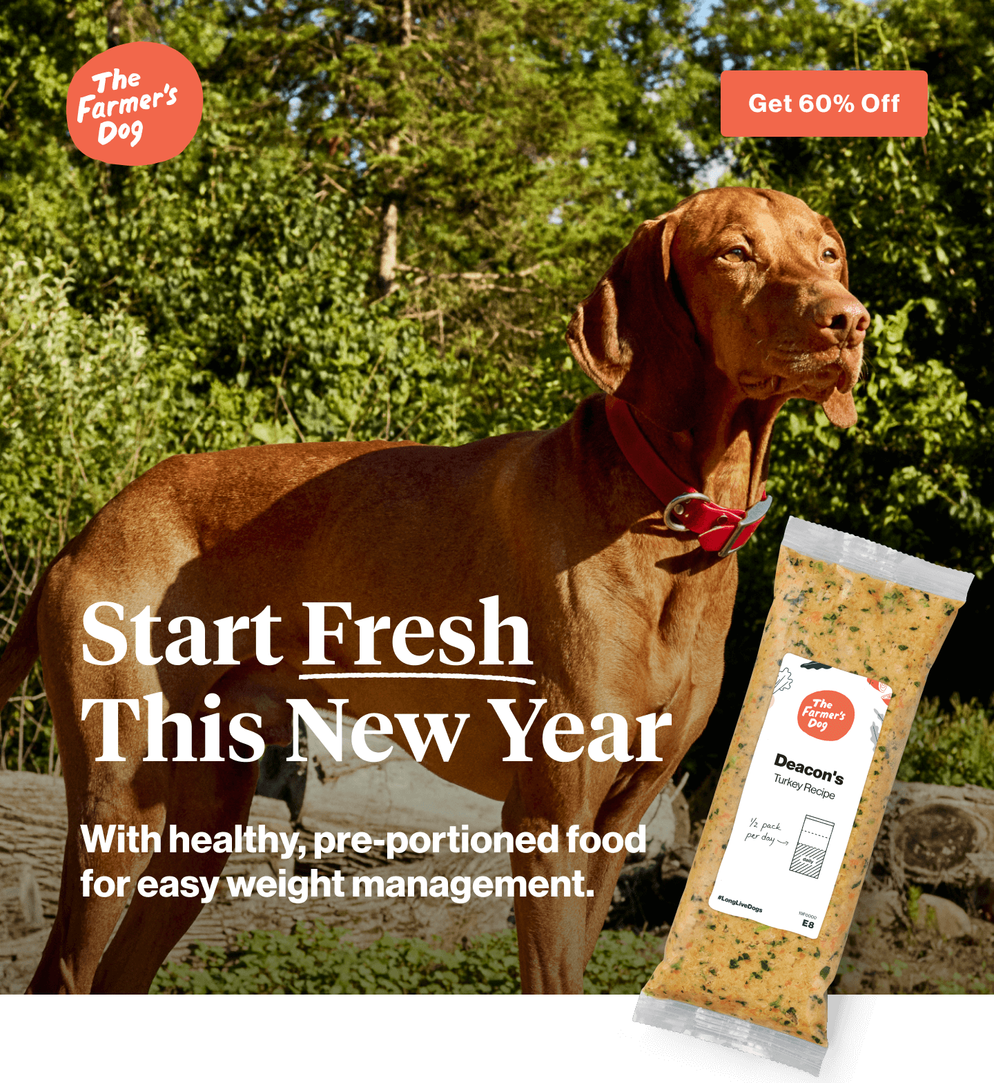 weight_manaegement_hero_desktop 1.png