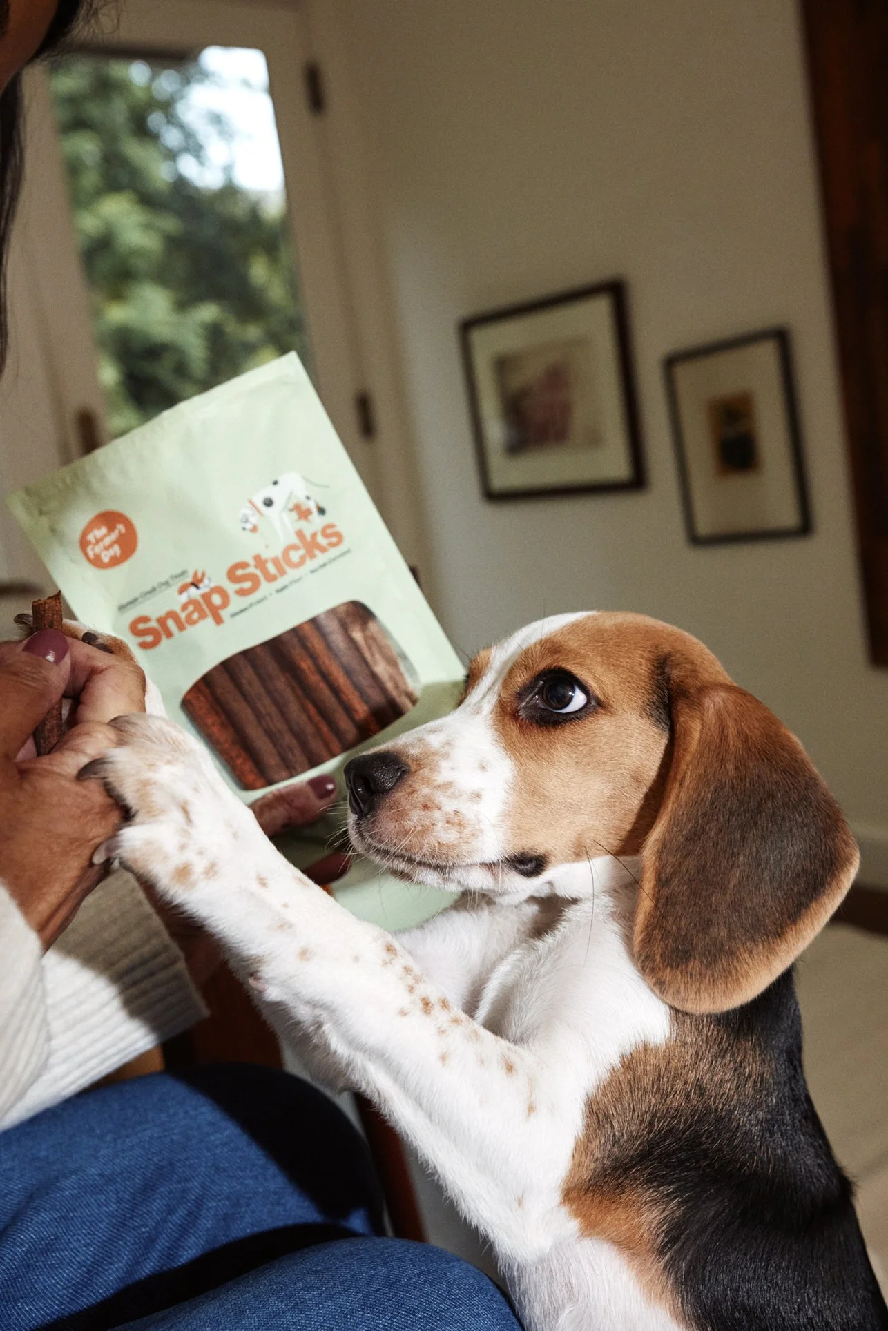 20250821_TFD_SN_Puppies_Treats_0225.jpg