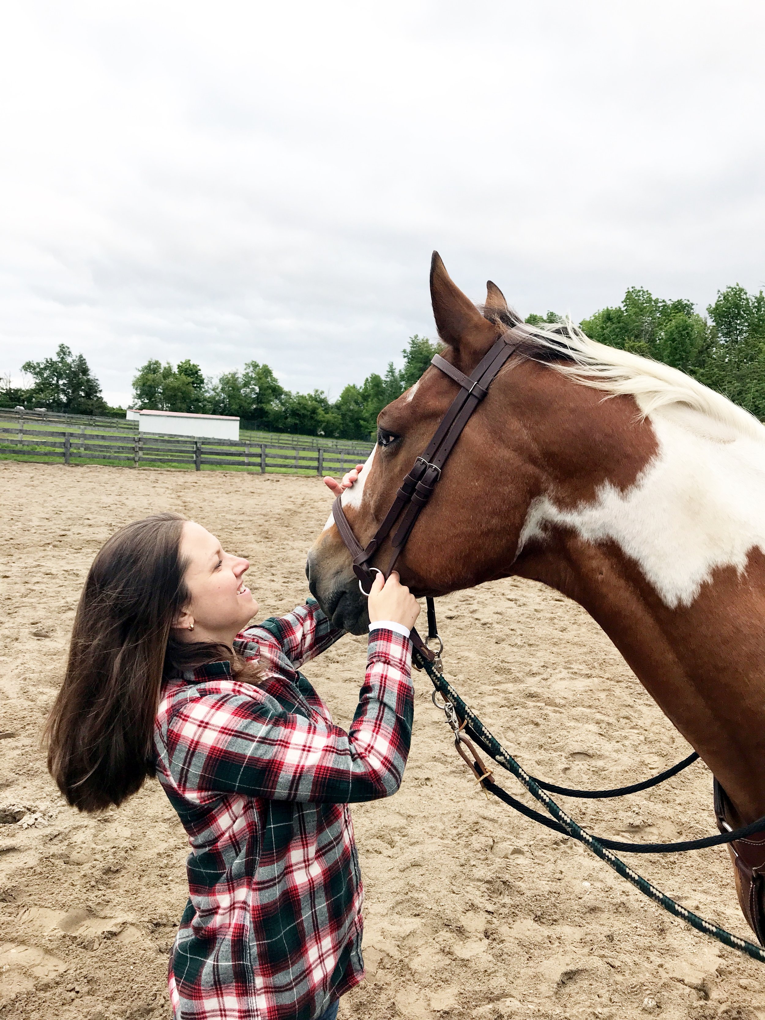 Dreaming Dreams &amp; Riding Horses&nbsp;