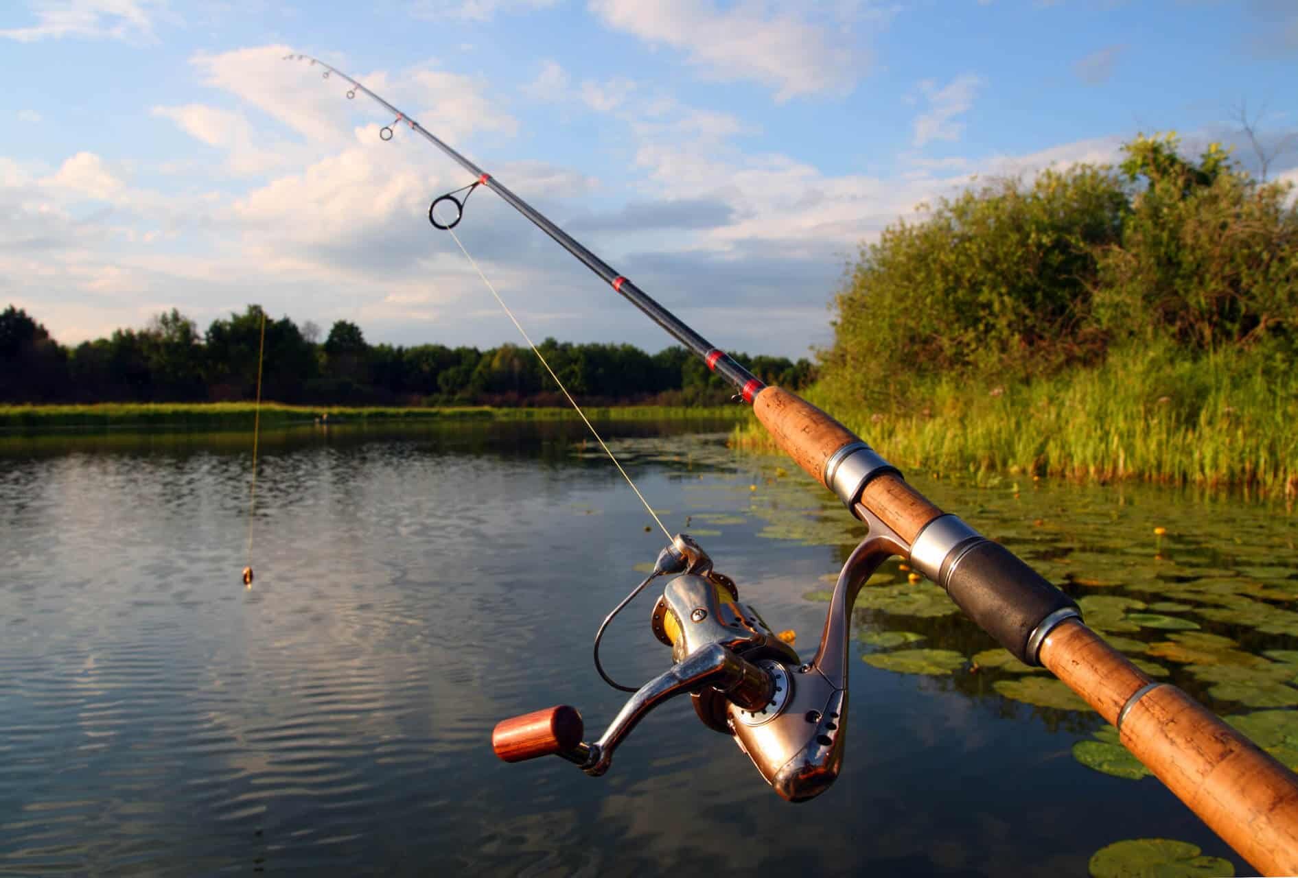 Different-Types-of-Fishing-Rods.jpg
