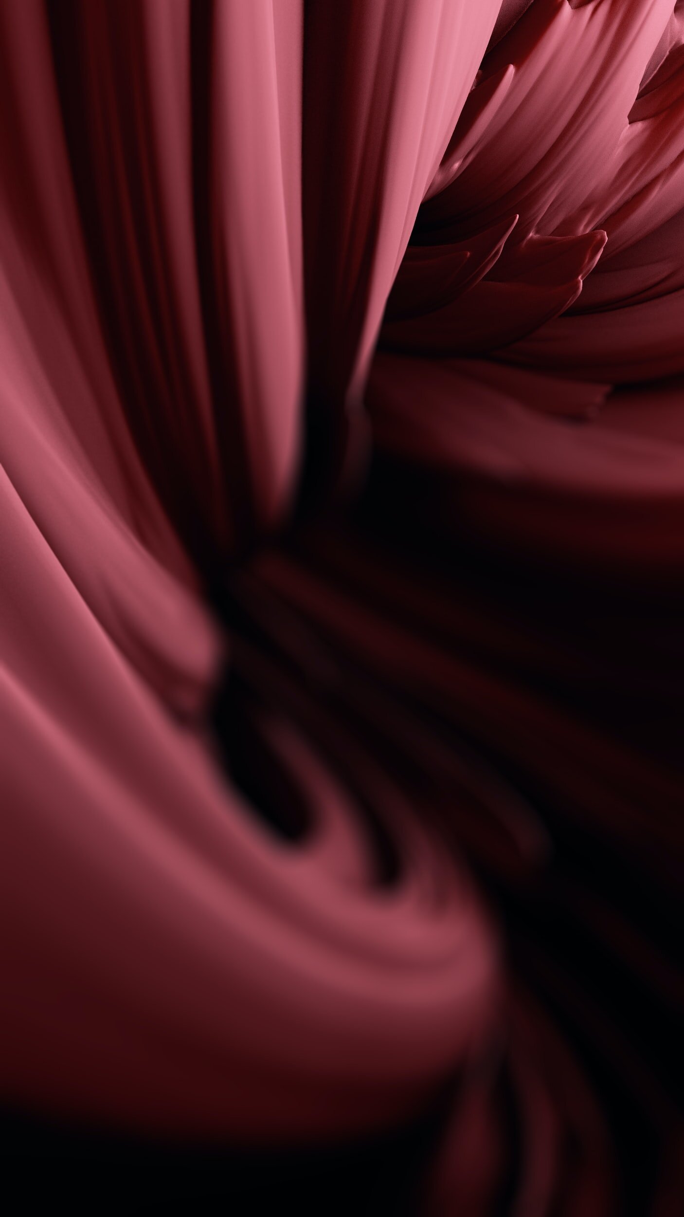 unsplash-image-fXe3inqVQY0.jpg