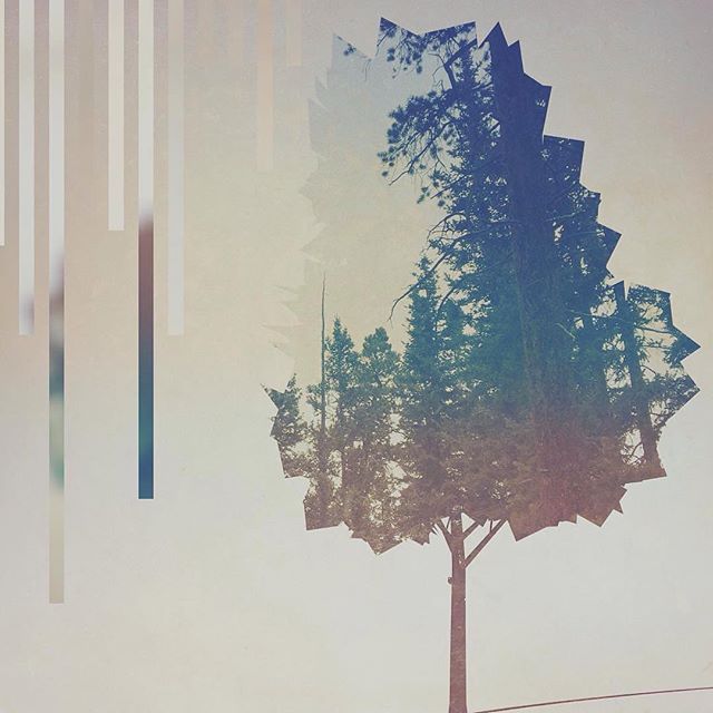 Edit by @isaiah_fx
&quot;🌳&quot; #lorystripes @fragmentapp

Awesome layout with minimal design elements!

Follow @pixiteapps for continued updates, as this channel will no longer be active after 02/14/2016.