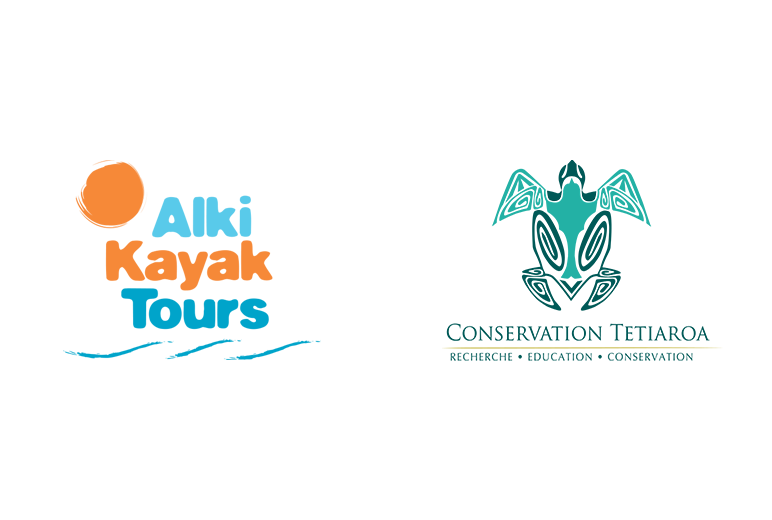 Alki Kayak Tours