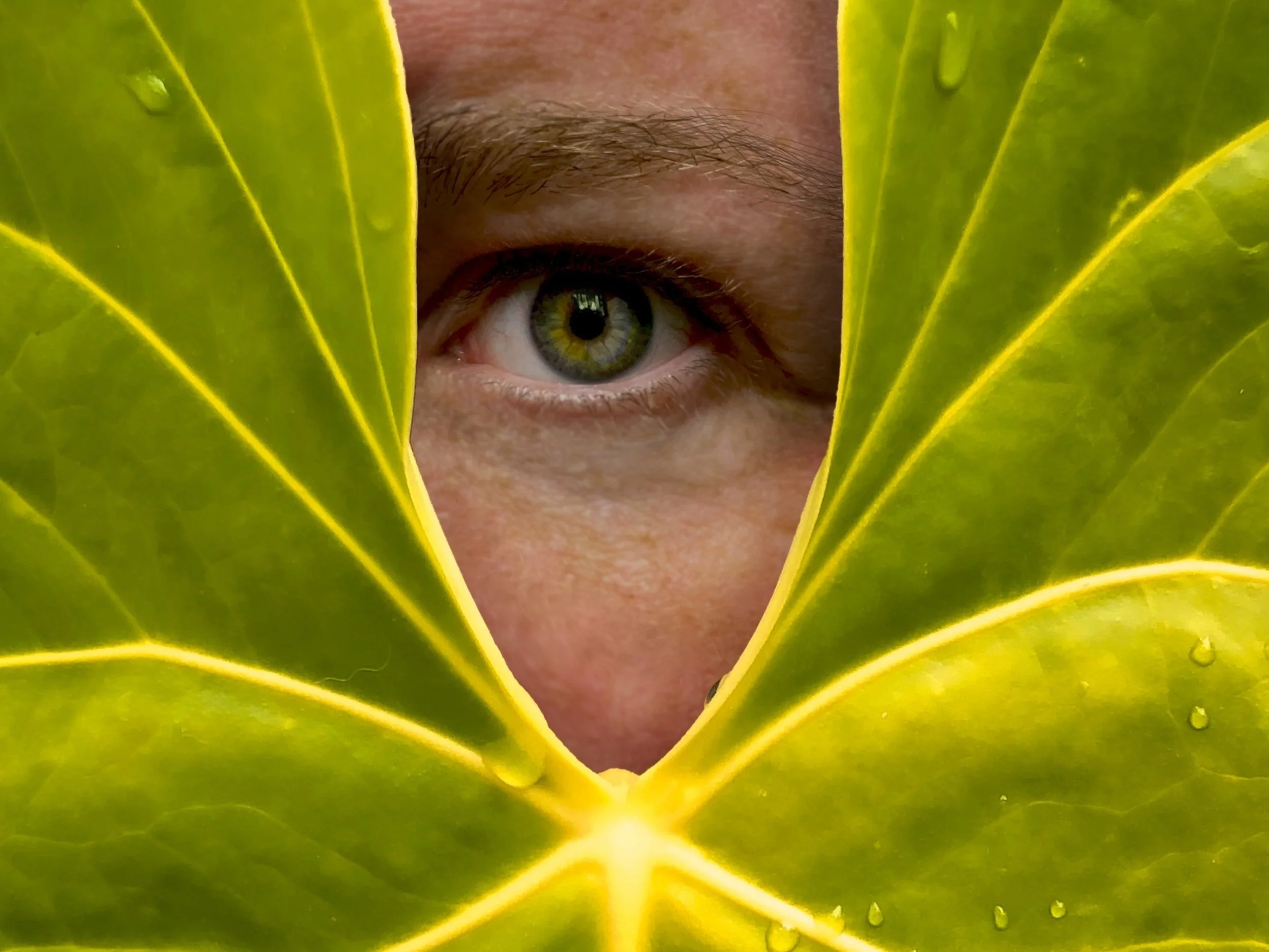 photoshoot_image-icon.jpg