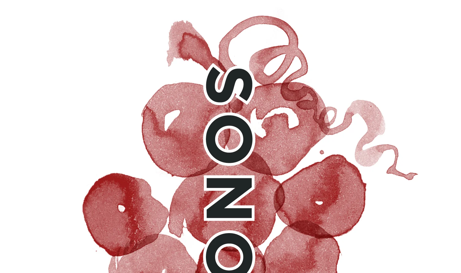NickyOvitt_SonomaPortworksSonomicDetail.jpg