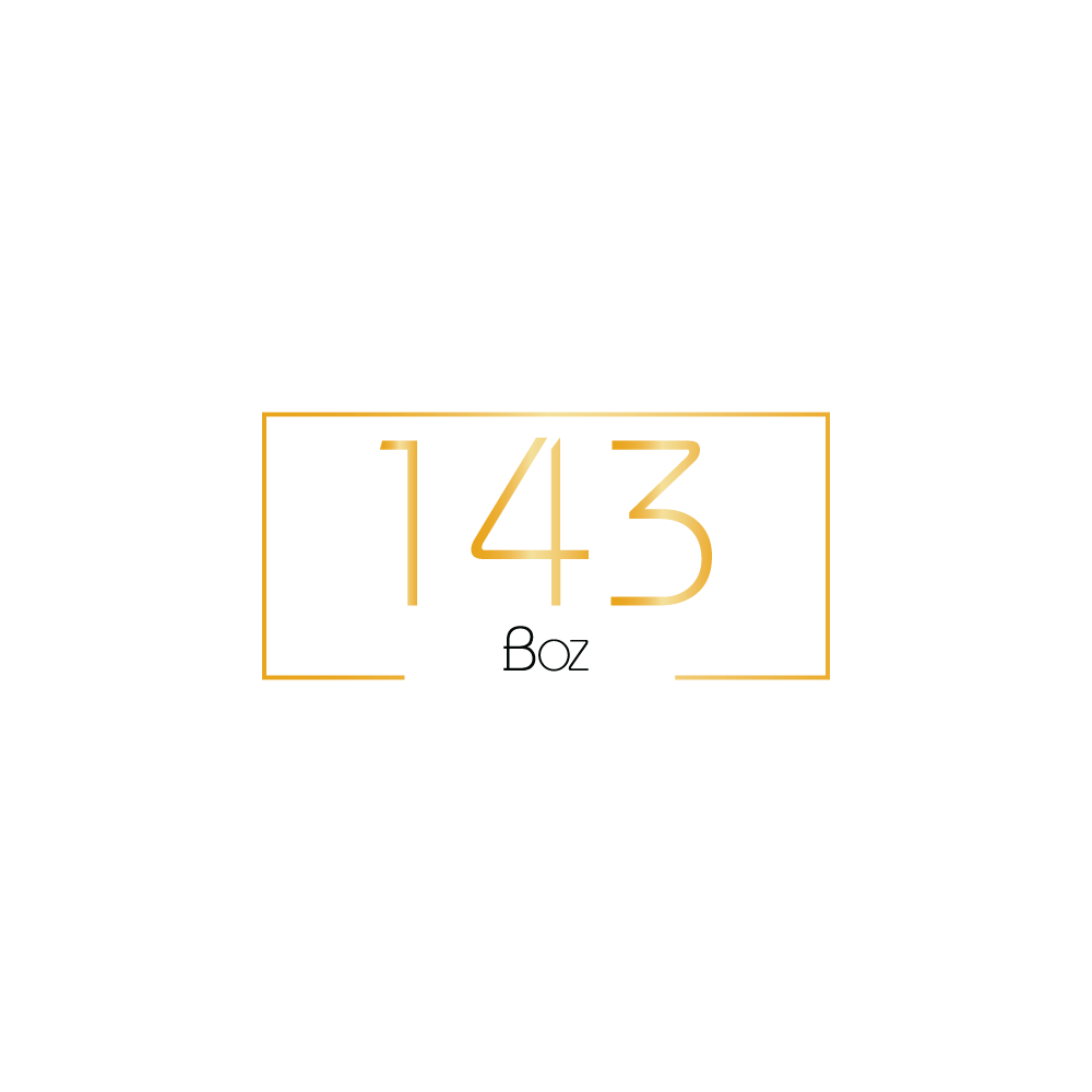 143 Boz Logo Concept Design