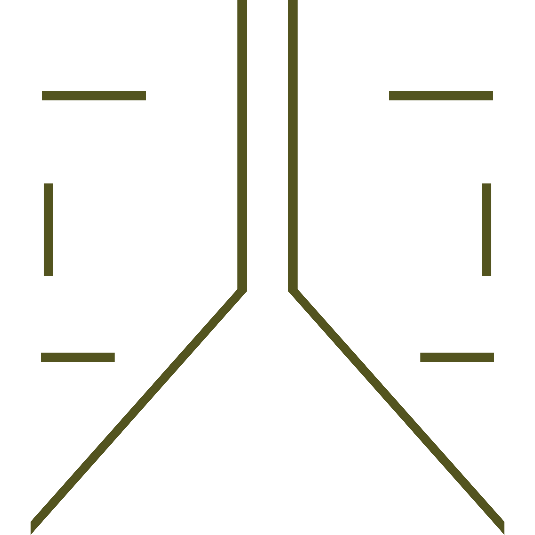 Logo Icon