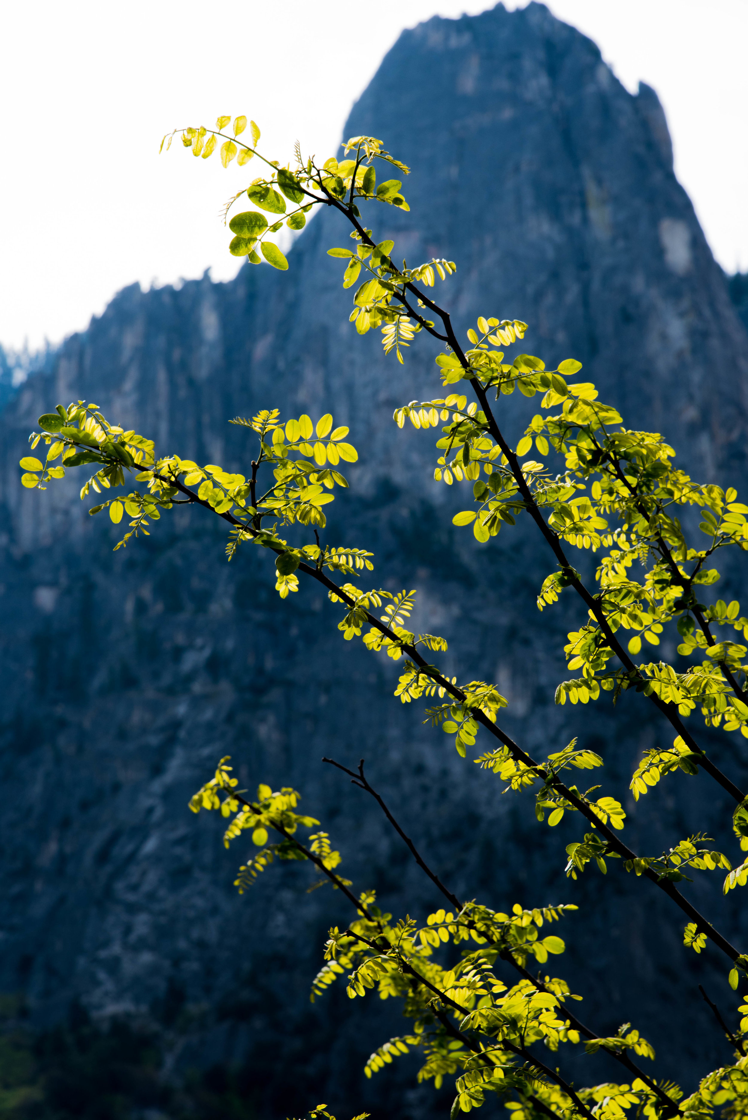 Nature Photography Exports Portfolio-1.jpg