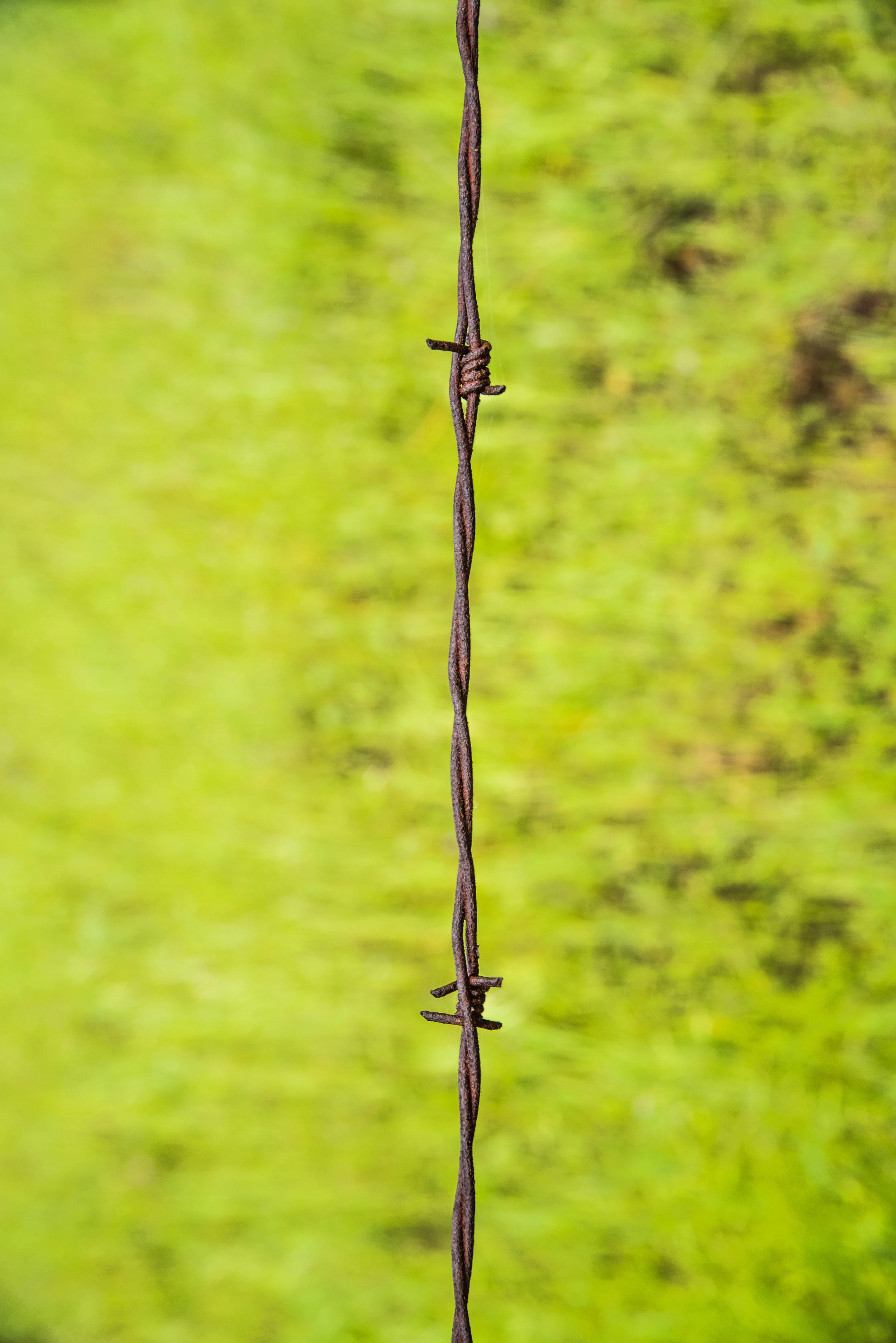 Nature Photography Exports Portfolio-2.jpg