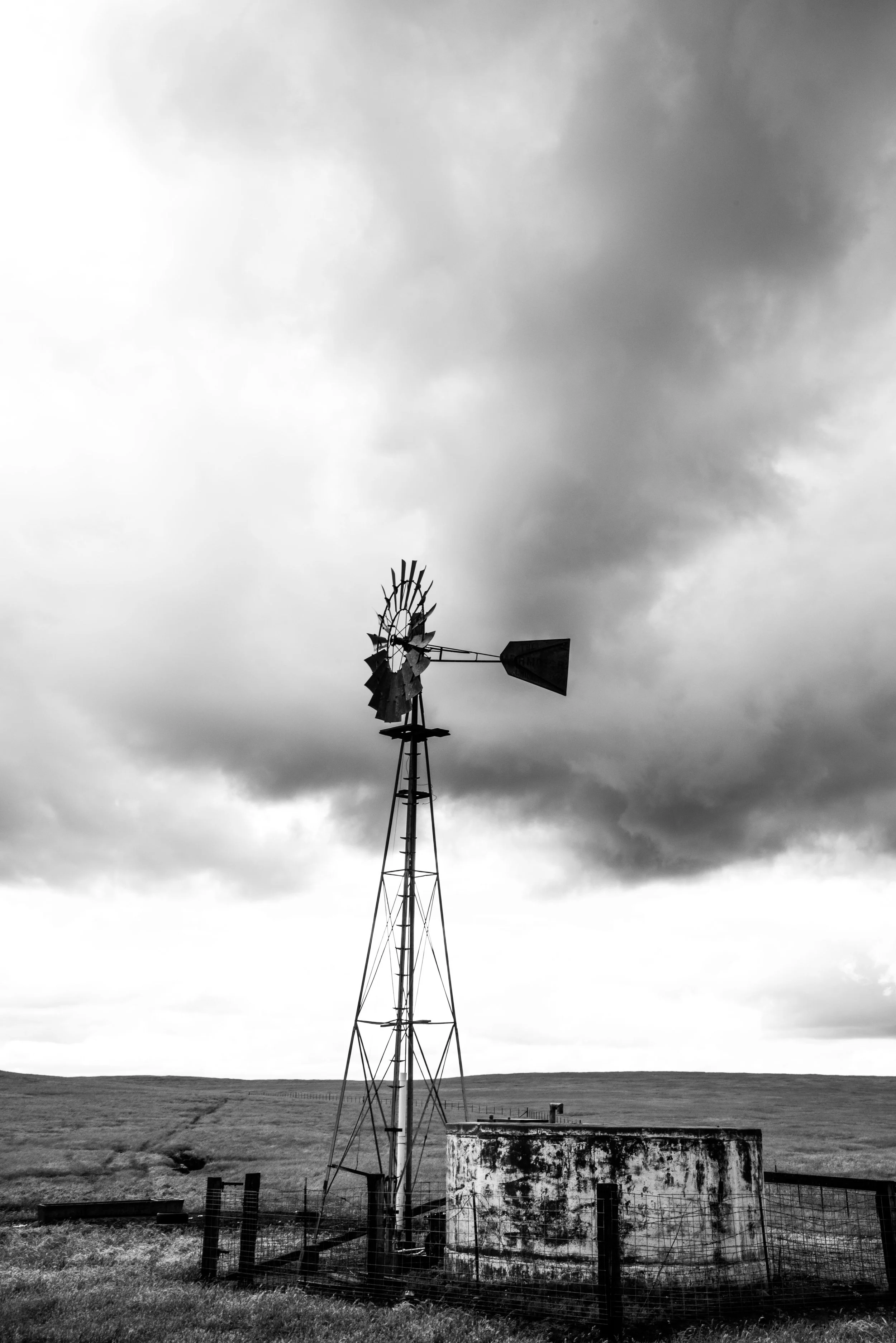 Nature Photography Exports Portfolio-3.jpg