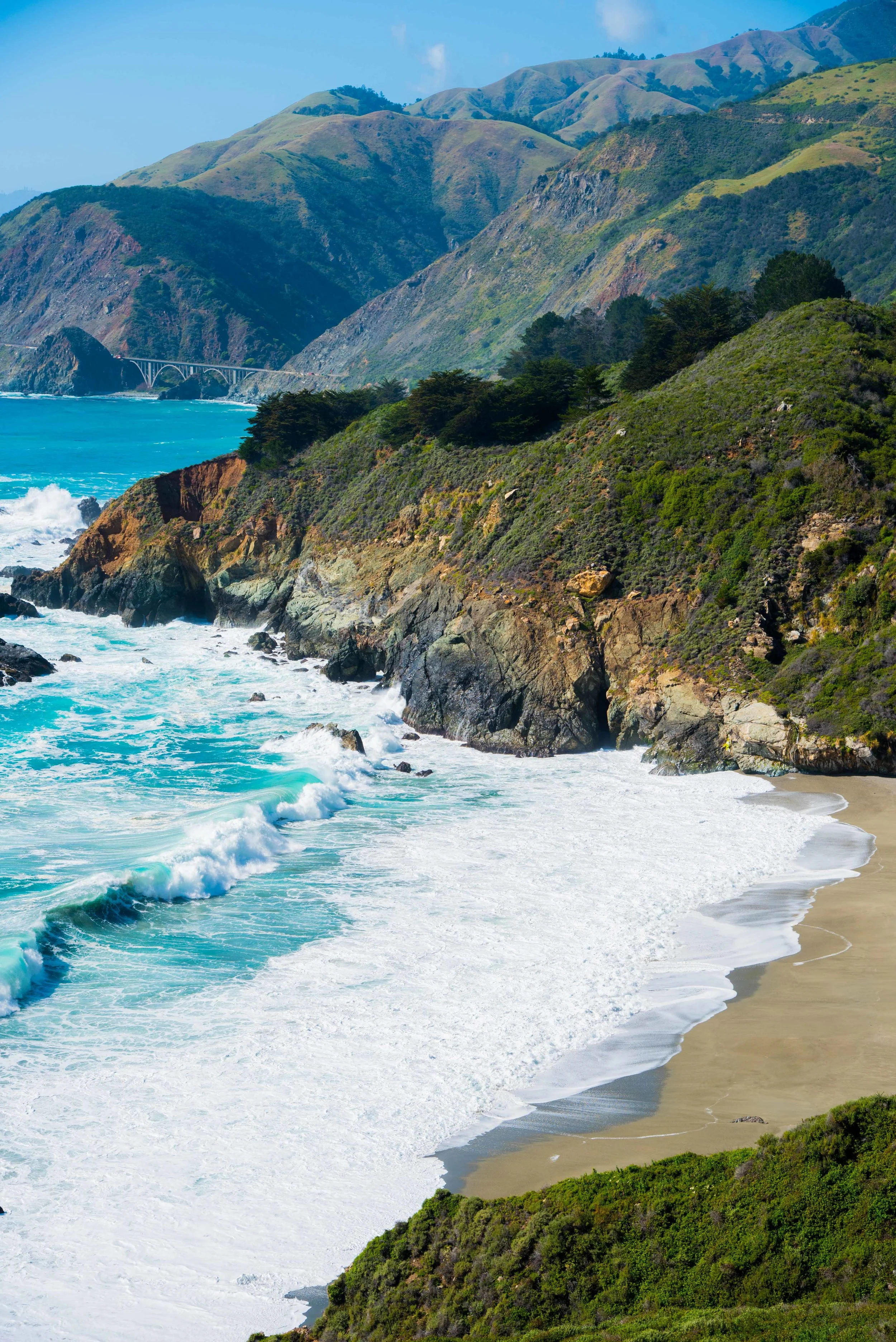 Nature Photography Exports Portfolio-6.jpg