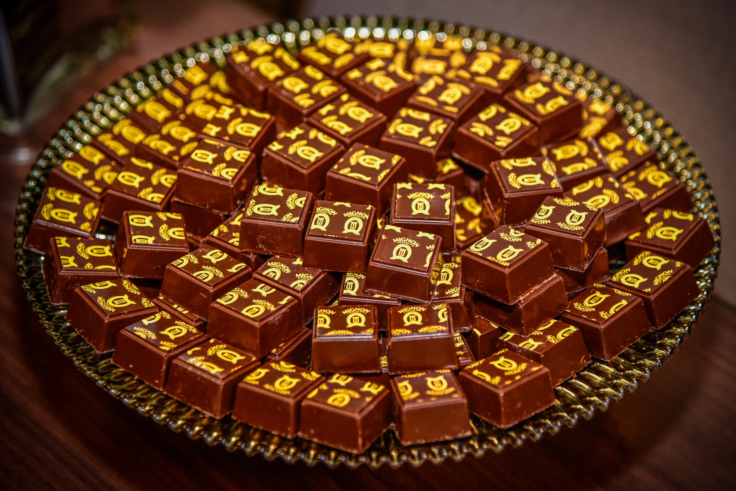 Marriott Residence Inn Grand Opening Event Photography-6.jpg