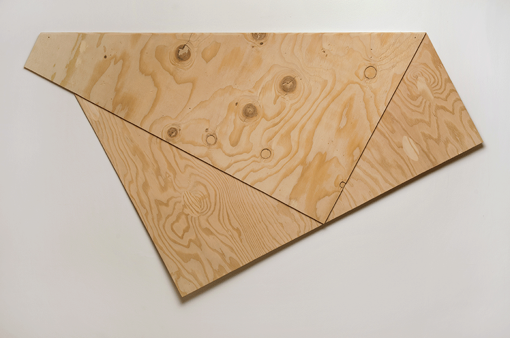 Folded-Plywood-5-.gif