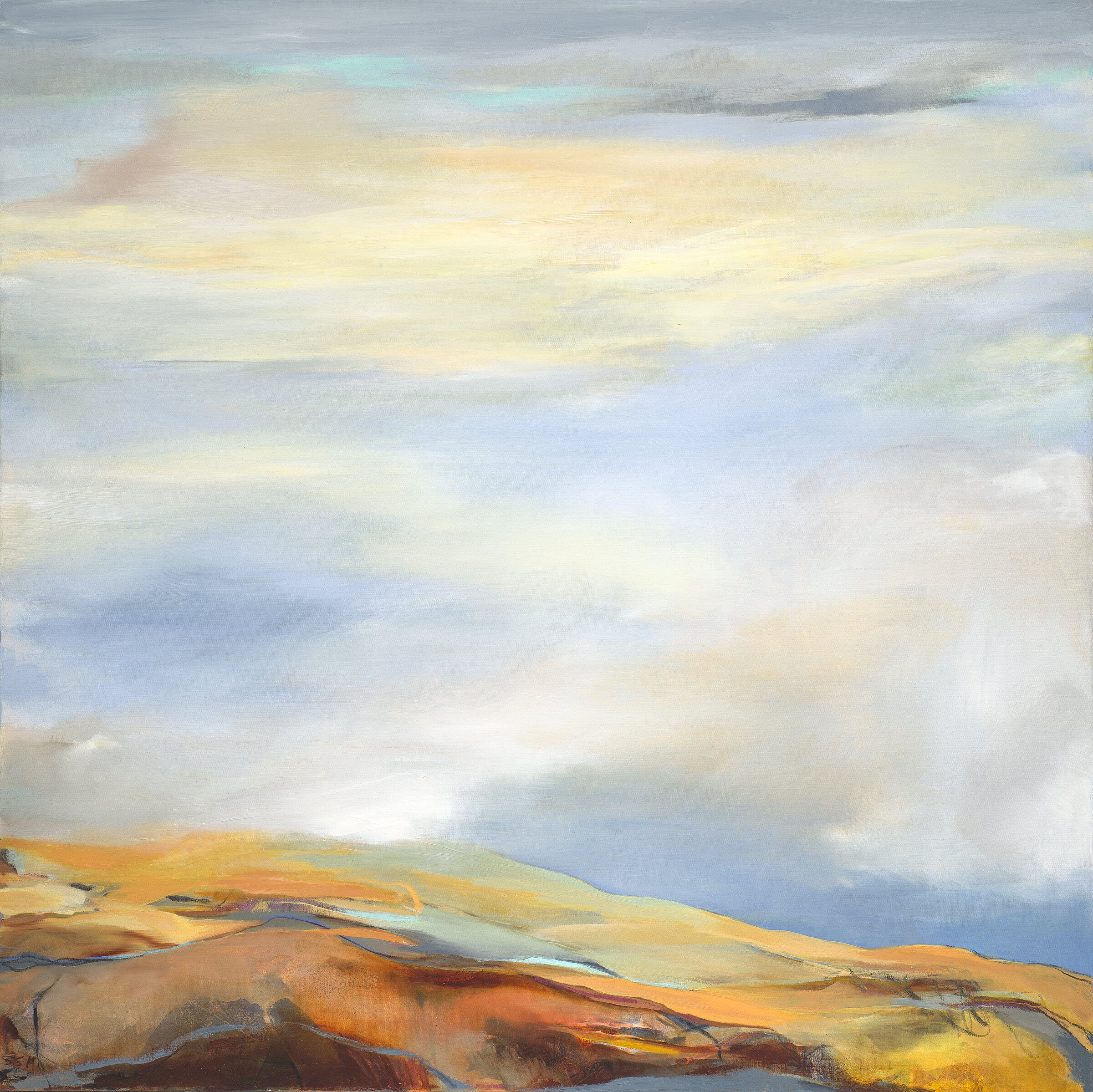 Western Skies