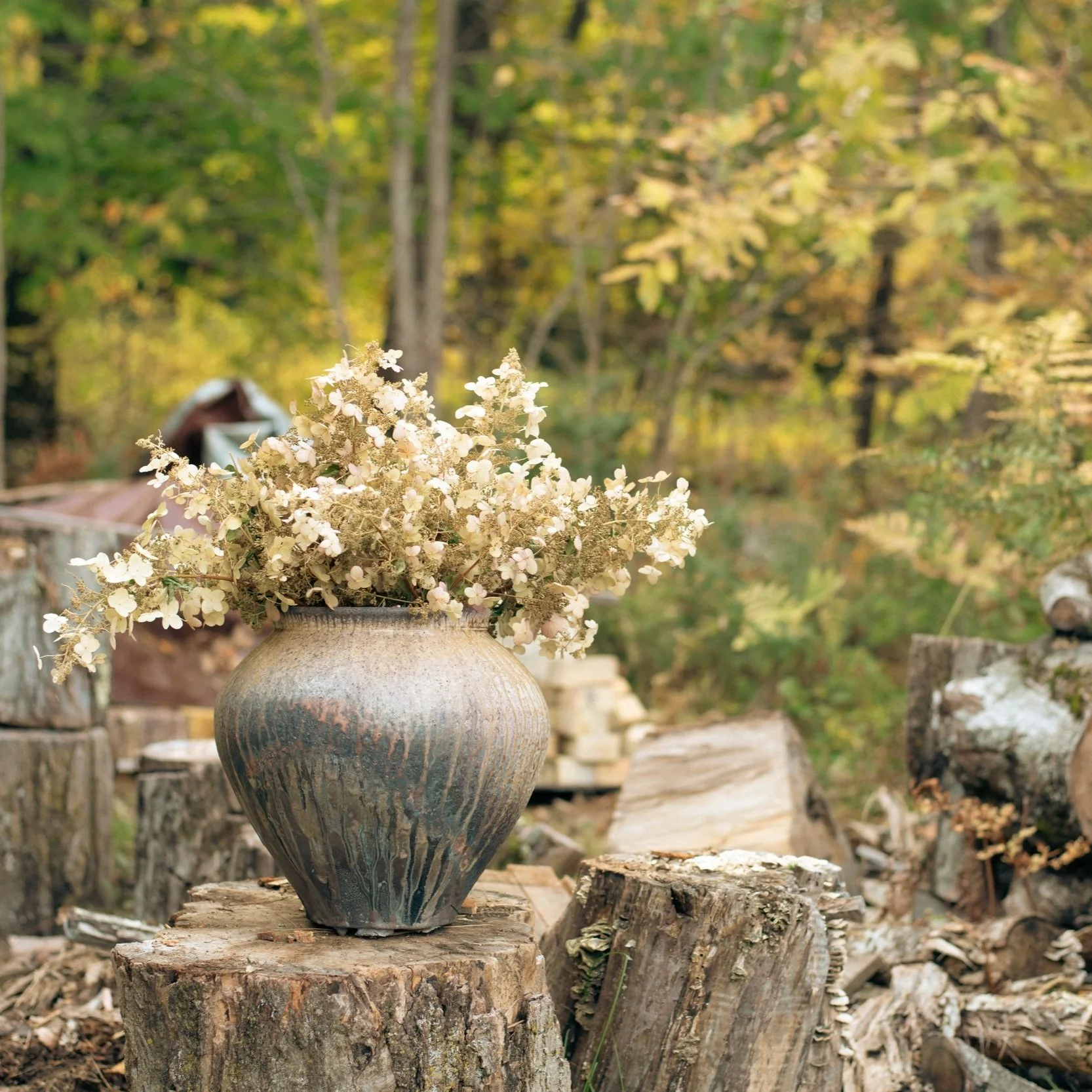 Art in the Park – Bridgton, Maine