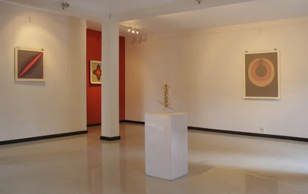   New Geometric Commons of Imagination  installed at Siddhartha Art Gallery,&nbsp;Kathmandu, Nepal 