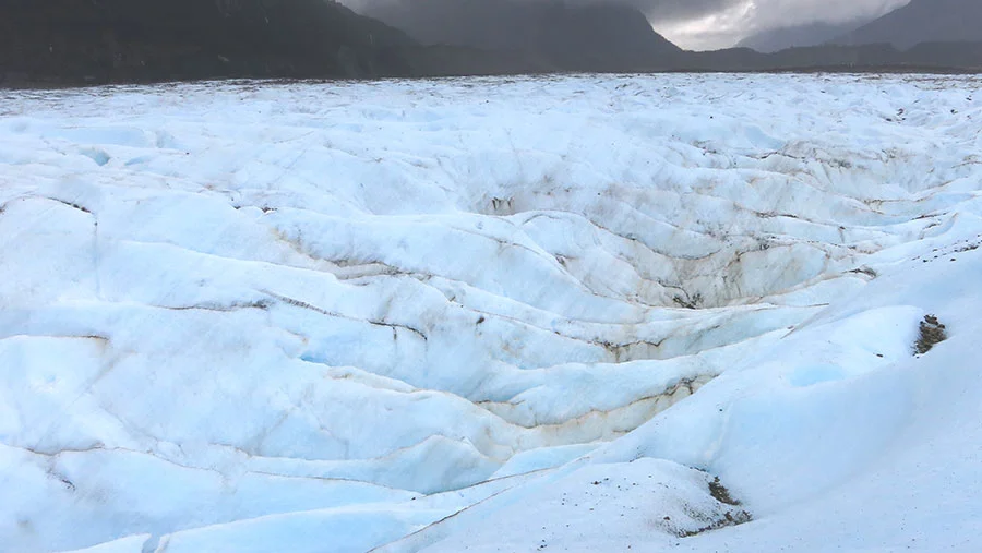     
 0 
 0 
 1 
 1492 
 8509 
 TPN 
 70 
 19 
 9982 
 14.0 
       
 Normal 
 0 
 
 
 
 
 false 
 false 
 false 
 
 EN-US 
 JA 
 X-NONE 
 
  
  
  
  
  
  
  
  
  
 
 
  
  
  
  
  
  
  
  
  
  
  
       
 
 
 
 
 
 
 
 
 
 
 
 
 
 
 
 
 
 
 
